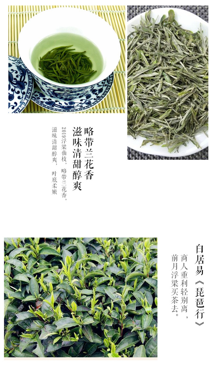 【多彩江西-浮梁仙芝茶】2019年江西浮梁浮梁仙枝绿茶