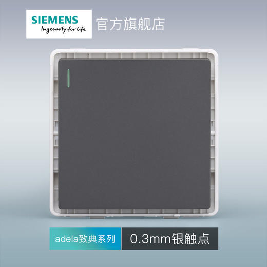 西门子开关插座面板致典深灰银一开单控带荧光 商品图3