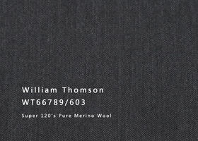WT66789-603 纯毛高支花呢 【深灰 素色 人字纹 W100】(901)