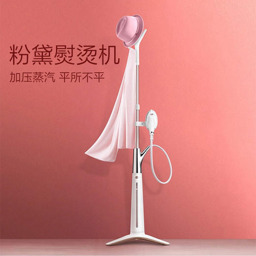 苏泊尔挂烫机GS25AX-20 带板熨烫 商品图1