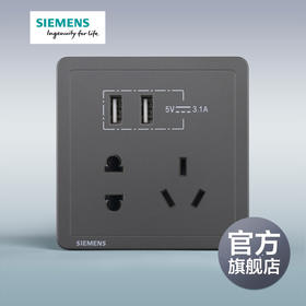 西门子开关插座面板致典深灰银10A五孔插座+双口3.1A USB