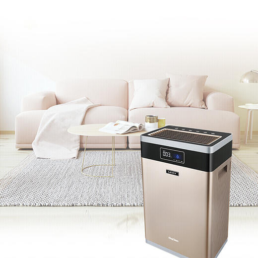 莱克（LEXY） 空气净化器大洁净空气量快速除霾长效除醛家用净化器KJ709 商品图4