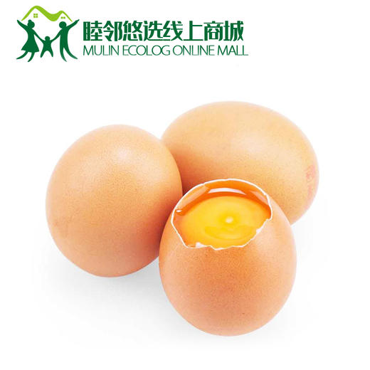 鸡蛋3斤（每人限购一份） 商品图0