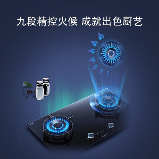 西门子（SIEMENS） ER8PM231MP 嵌入式燃气灶天然气灶具 商品图1