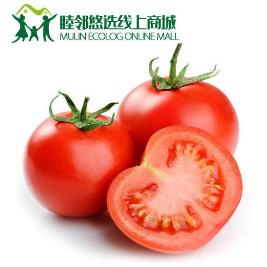 西红柿500g 商品图0