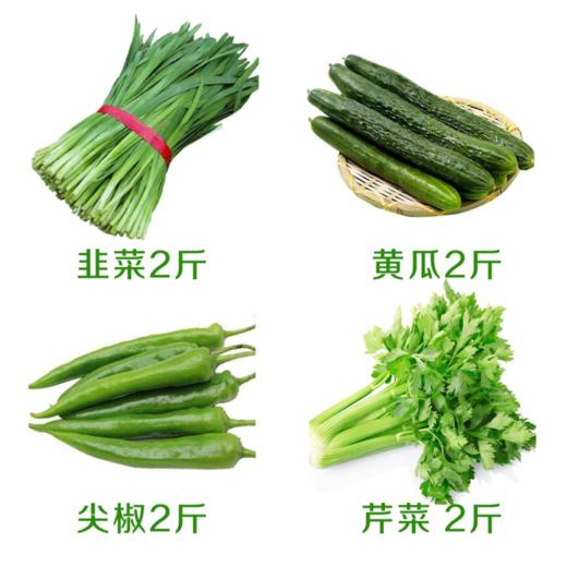 绿色营养套餐（韭菜2斤+黄瓜2斤+尖椒2斤+芹菜2斤） 商品图0