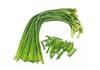 蒜苔500g 商品缩略图1