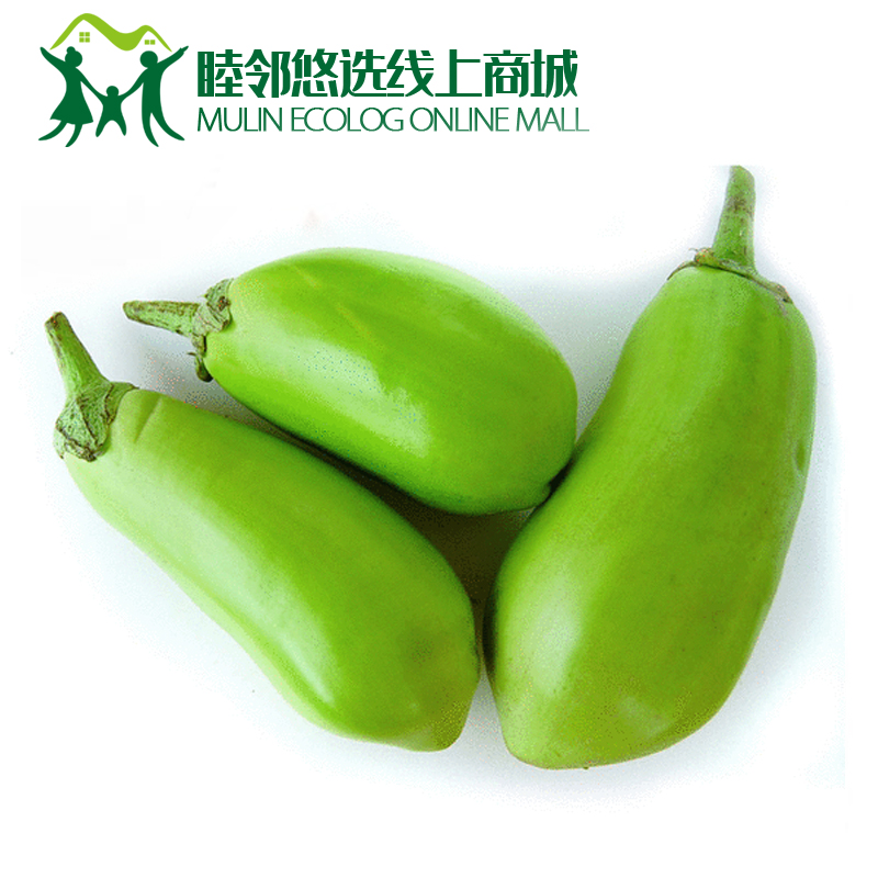 绿茄子500g