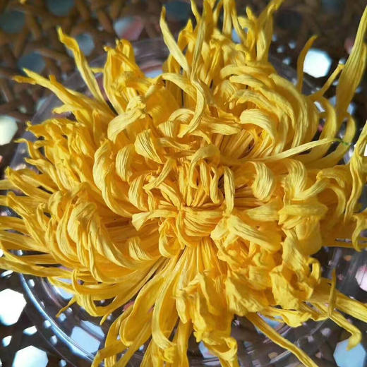 【72小时发货】金丝皇菊20朵/蓝田贡菊100g 一壶菊花茶 二两点心  岁月静好 商品图0