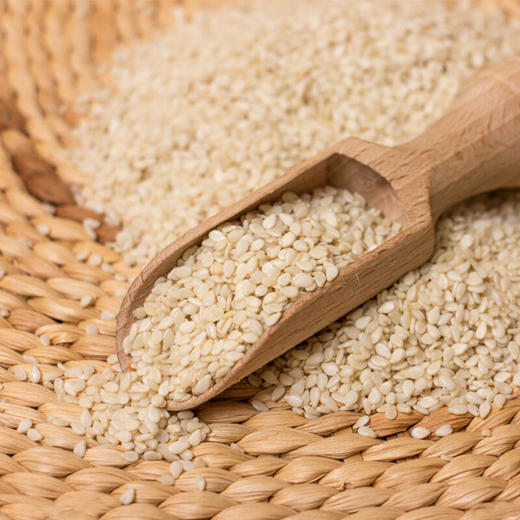 【寒地黑土】东北有机白芝麻670g 东北特产 烘焙辅料 粗粮杂粮 大米伴侣 商品图1