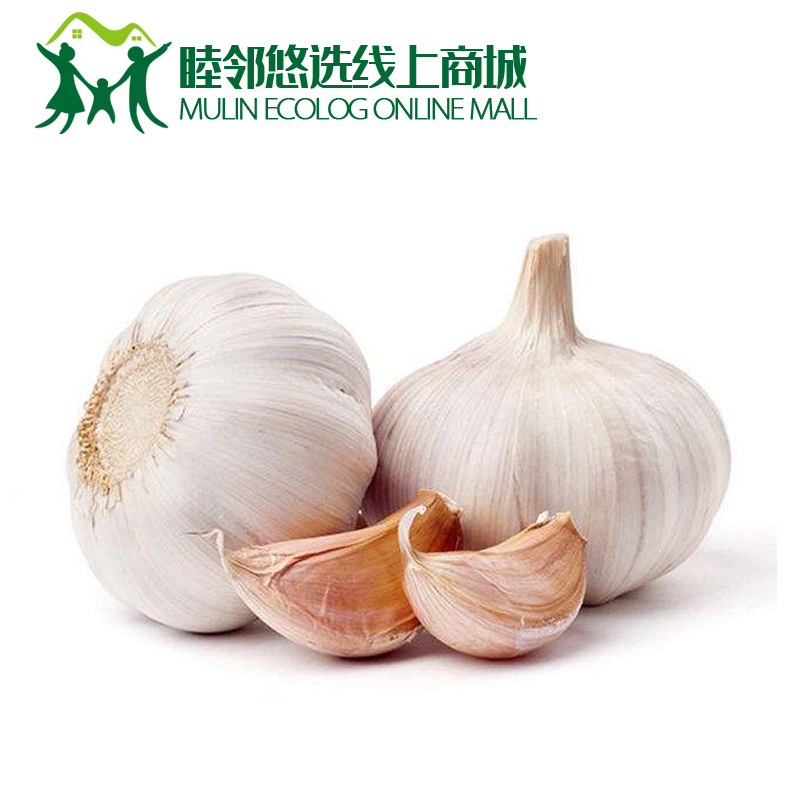 大蒜500g