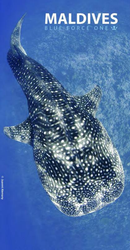 【行程】21年春节，再约深南，好船好食好Buddy，尽数大货等着你 商品图1