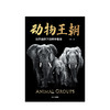 【限时特惠】动物王朝 自然选择下的群体智慧 冉浩 著  动物群体行为 动物世界 博物君张辰亮推荐 大自然智慧  中信出版社 商品缩略图2