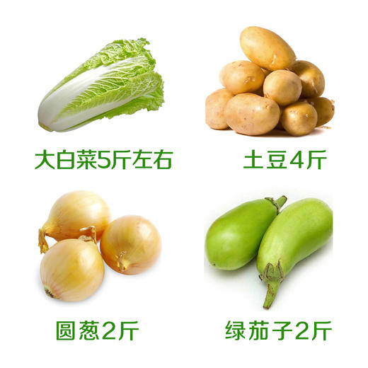 安心居家套餐（大白菜5斤左右+土豆4斤+圆葱2斤+绿茄子2斤） 商品图0