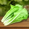 蘸酱菜（小白菜，油菜）500g 商品缩略图1