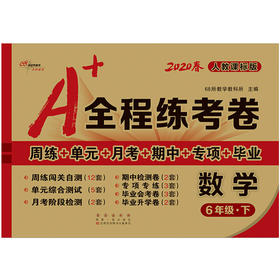 2020春  A+全程练考卷 数学 六年级 下册  人教部编版