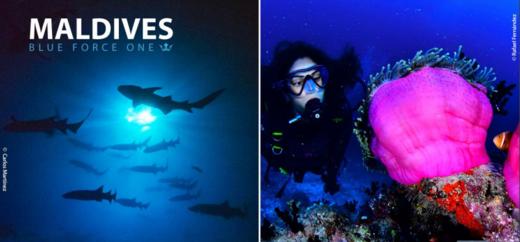 【行程】21年春节，再约深南，好船好食好Buddy，尽数大货等着你 商品图2