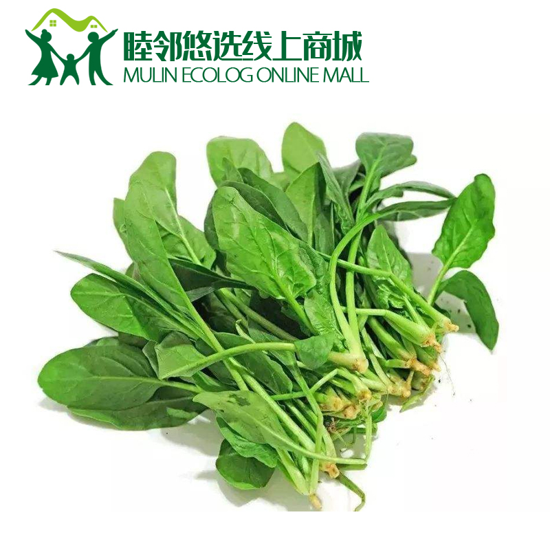 菠菜500g