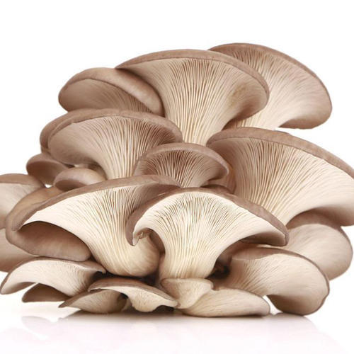 鲜蘑500g 商品图1