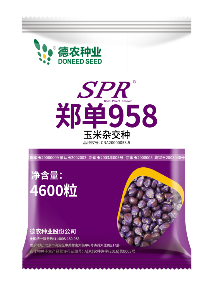 spr郑单958