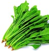 菠菜500g 商品缩略图1