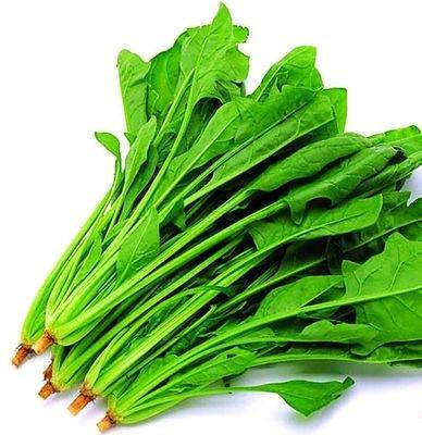 菠菜500g 商品图1