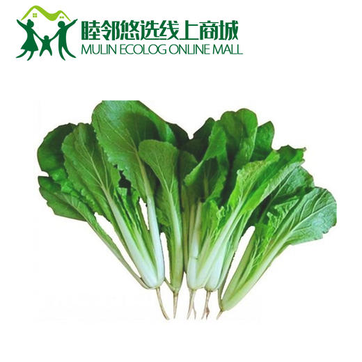 小白菜500g 商品图0