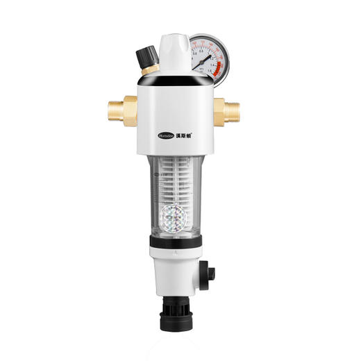 汉斯顿净水器家用主管道前置过滤器全自动清洗过滤器HSD-M2W 商品图0