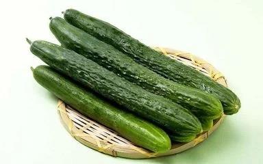 黄瓜500g 商品图1