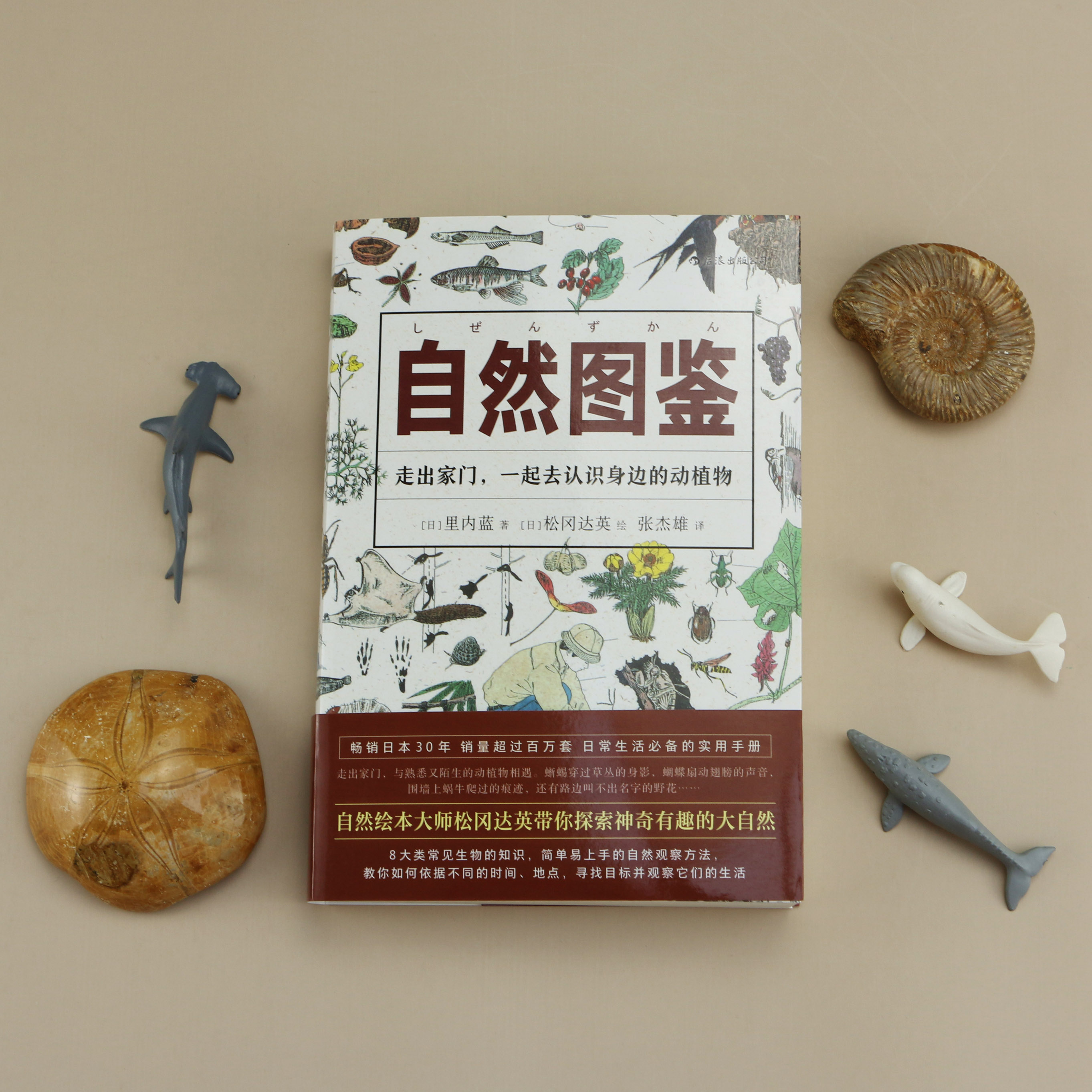 自然图鉴(走出家门,与自然绘本大师松冈达英一起探索神奇有趣的大自然