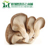 鲜蘑500g 商品缩略图0