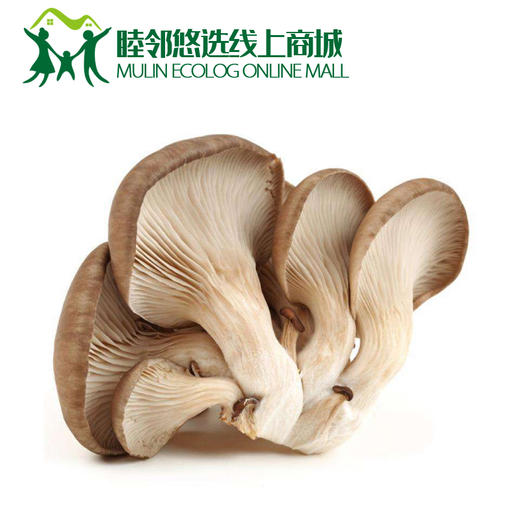 鲜蘑500g 商品图0