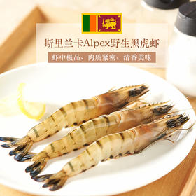 原装进口斯里兰卡野生黑虎虾	800g