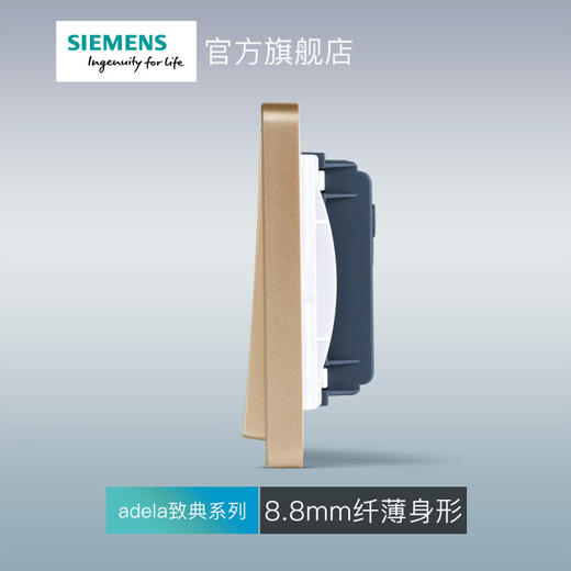 西门子开关插座面板致典日曜金二开双控开关 商品图3