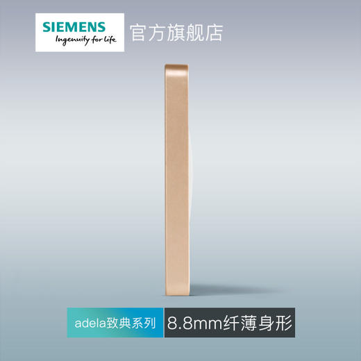 西门子开关插座面板致典日曜金空白面板 商品图3