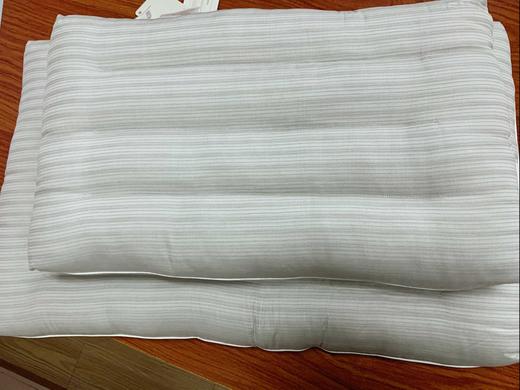 大号石墨烯循环枕芯 （19秋冬新款） 商品图2