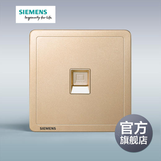 西门子开关插座面板致典日曜金电脑插座 商品图0