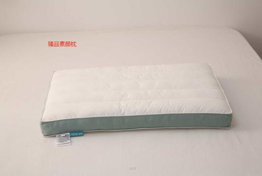 夏维怡 臻品素颜枕芯 岩石灰 （19秋冬新款） 商品图0