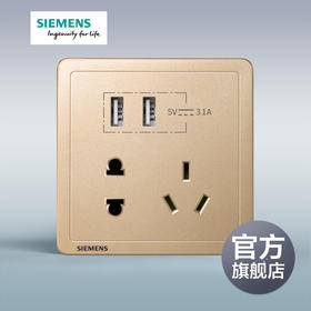 西门子开关插座面板致典日曜金10A五孔插座+双口3.1A USB