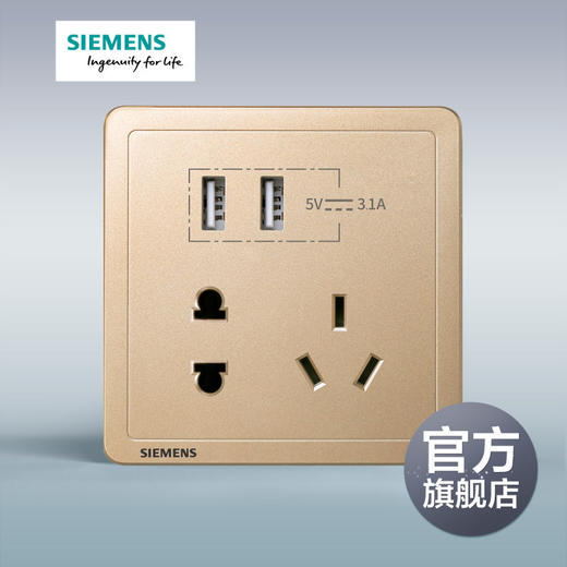 西门子开关插座面板致典日曜金10A五孔插座+双口3.1A USB 商品图0