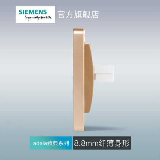 西门子开关插座面板致典日曜金二位电脑插座 商品图3