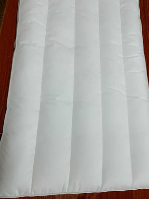 夏维怡 臻品素颜枕芯 岩石灰 （19秋冬新款） 商品图2