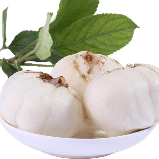 甘肃 兰州 9年生 鲜百合165g*3袋/斤 洁白如玉 口感香甜 个头大 鳞片肥厚 商品图0