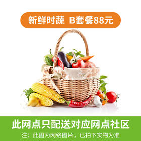 蔬菜套餐B