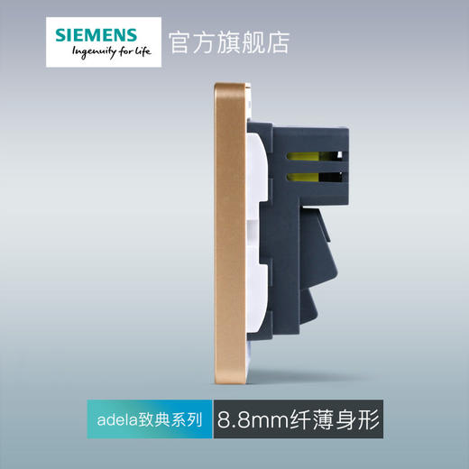 西门子开关插座面板致典日曜金10A五孔插座+双口3.1A USB 商品图3