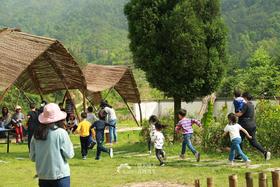  崔老师 | 免疫力和肺炎食疗方 