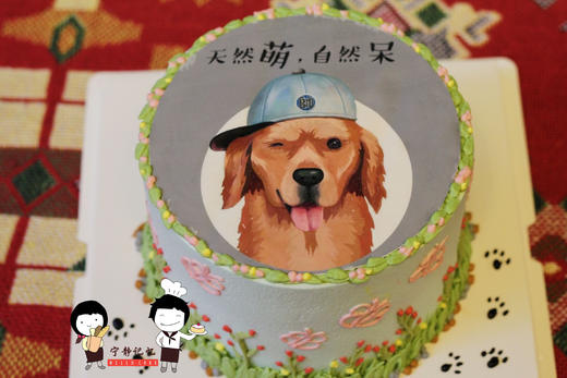 奶油蛋糕 下单前请仔细阅读商品详情 宠物 金毛如需增加或者修改文字 请下单备注  商品图0