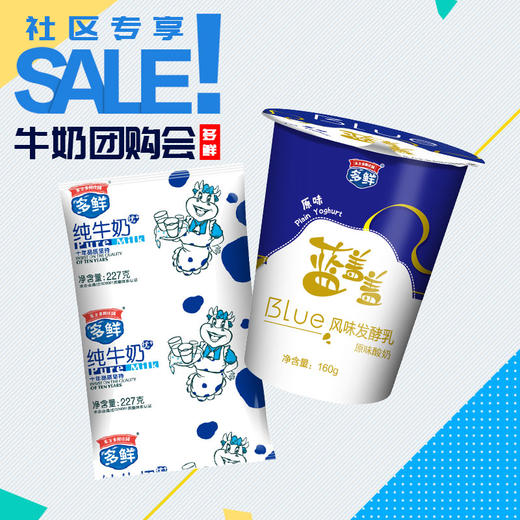 蓝盖盖原味酸奶160g*20杯+利乐枕纯奶227g*16袋 商品图0