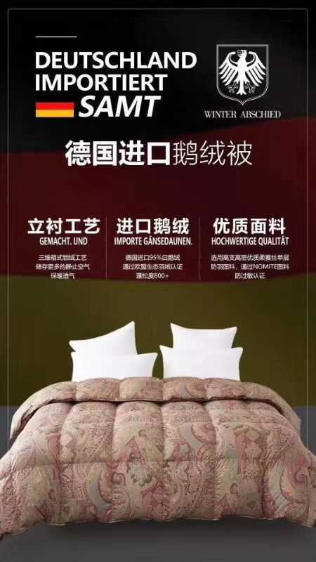 圣洛斯德国进口鹅绒被 商品图4
