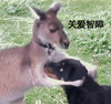 Hhh 商品缩略图0